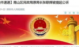 深圳新闻现场今日爆料视频,独家视频爆料，揭秘事件背后真相